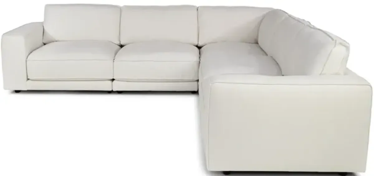 Serene 5 Piece Modular Sectional