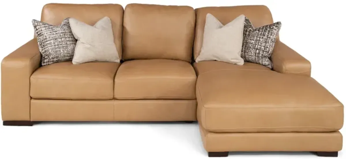 Cutler 2 Piece Leather Modular Sectional - Right Chaise