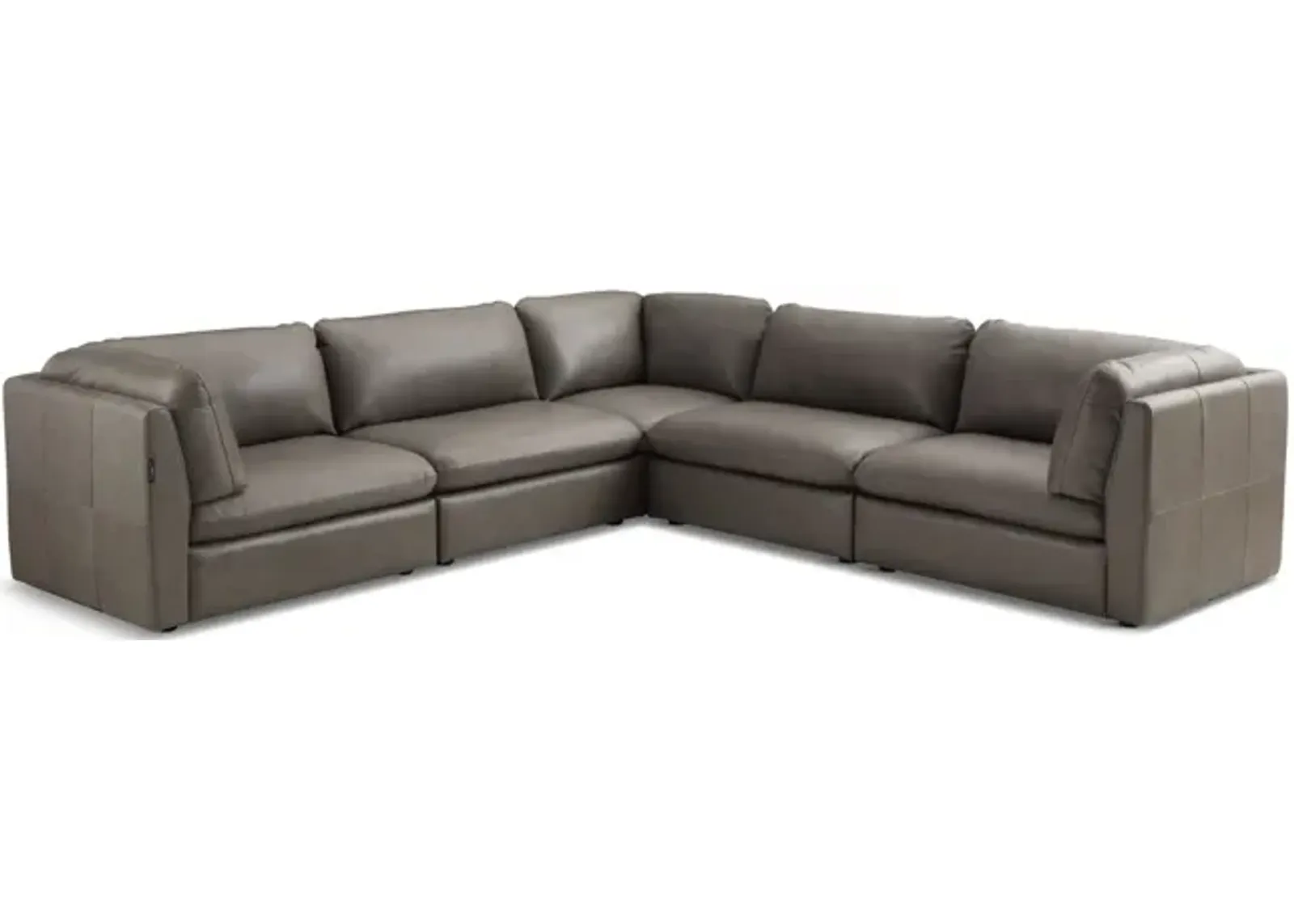 Jonah 5 Piece Leather Modular Sectional