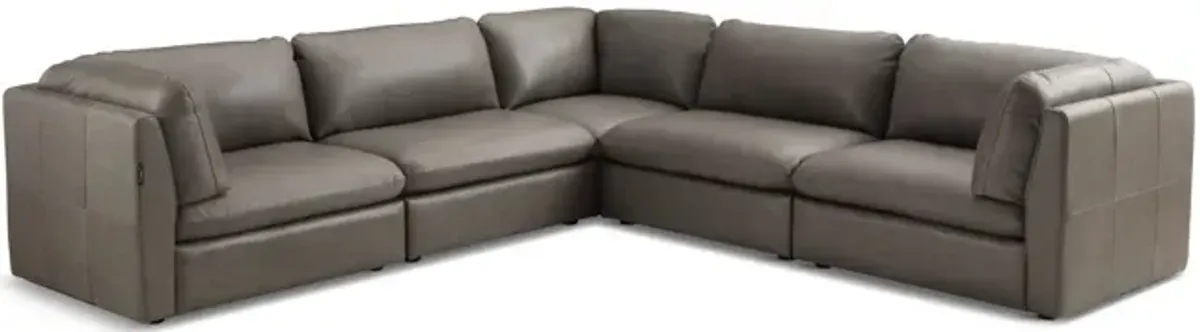 Jonah 5 Piece Leather Modular Sectional