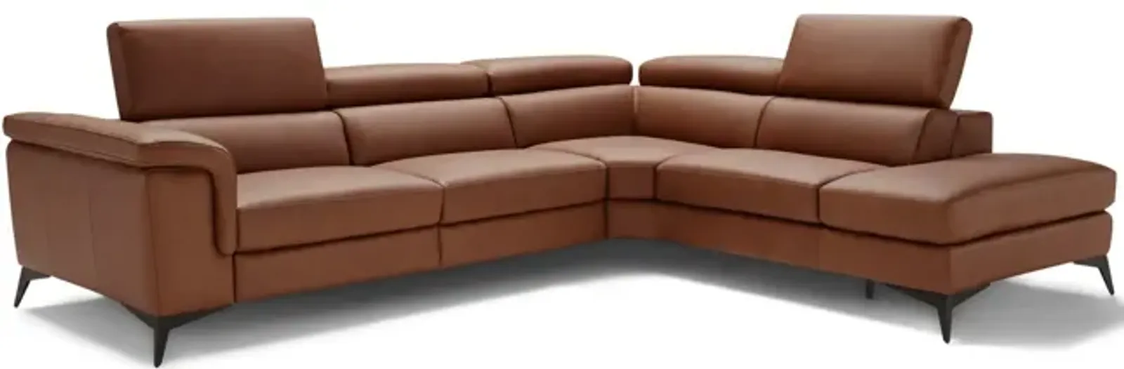 Alfa 2 Piece Leather Sectional - Right Chaise