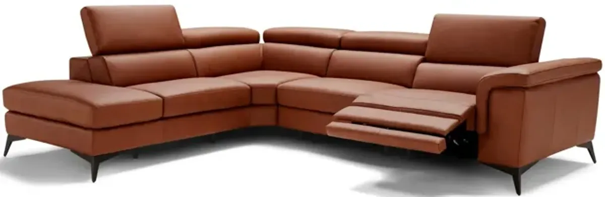 Alfa 2 Piece Leather Sectional - Left Chaise