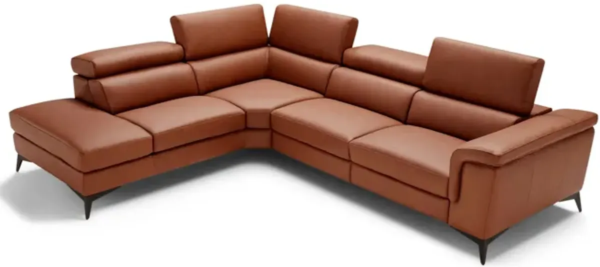 Alfa 2 Piece Leather Sectional - Left Chaise