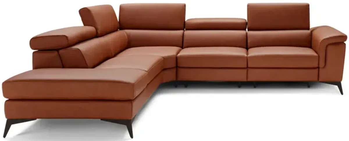 Alfa 2 Piece Leather Sectional - Left Chaise