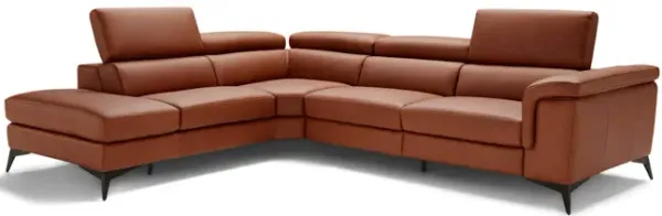 Alfa 2 Piece Leather Sectional - Left Chaise