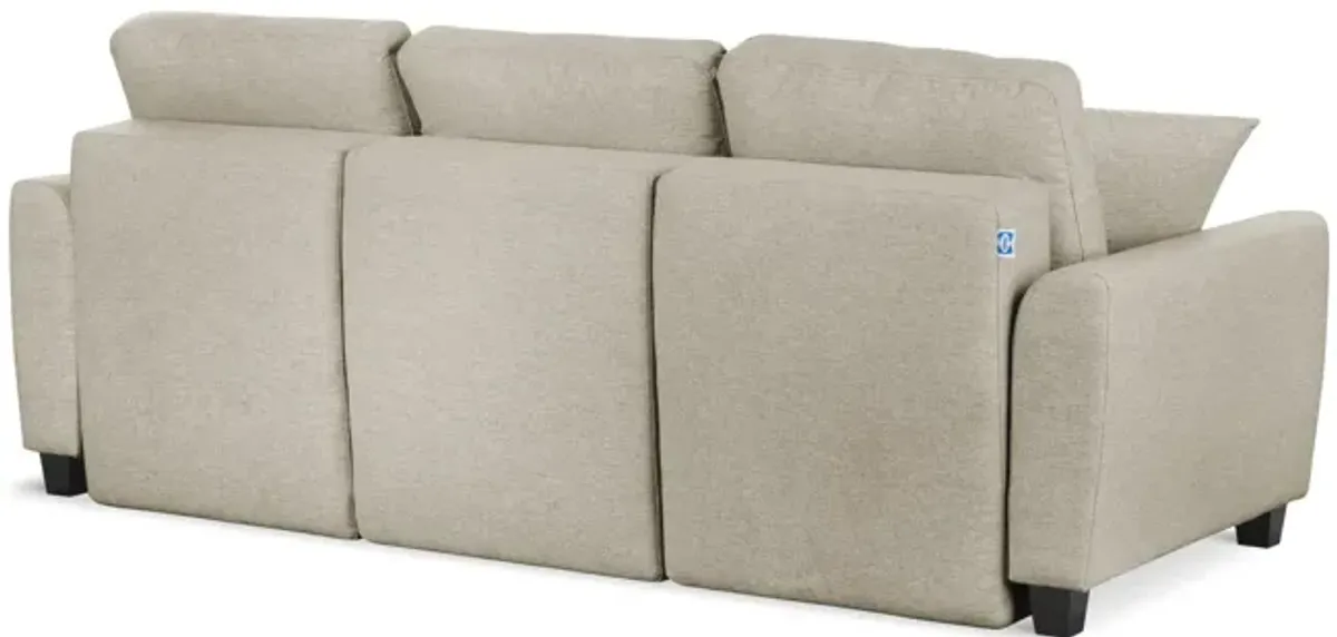 Rockwell Convertible Sofa Sleeper - Tumbleweed