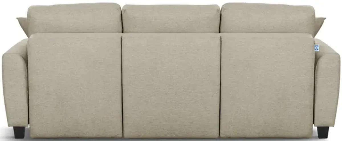 Rockwell Convertible Sofa Sleeper - Tumbleweed