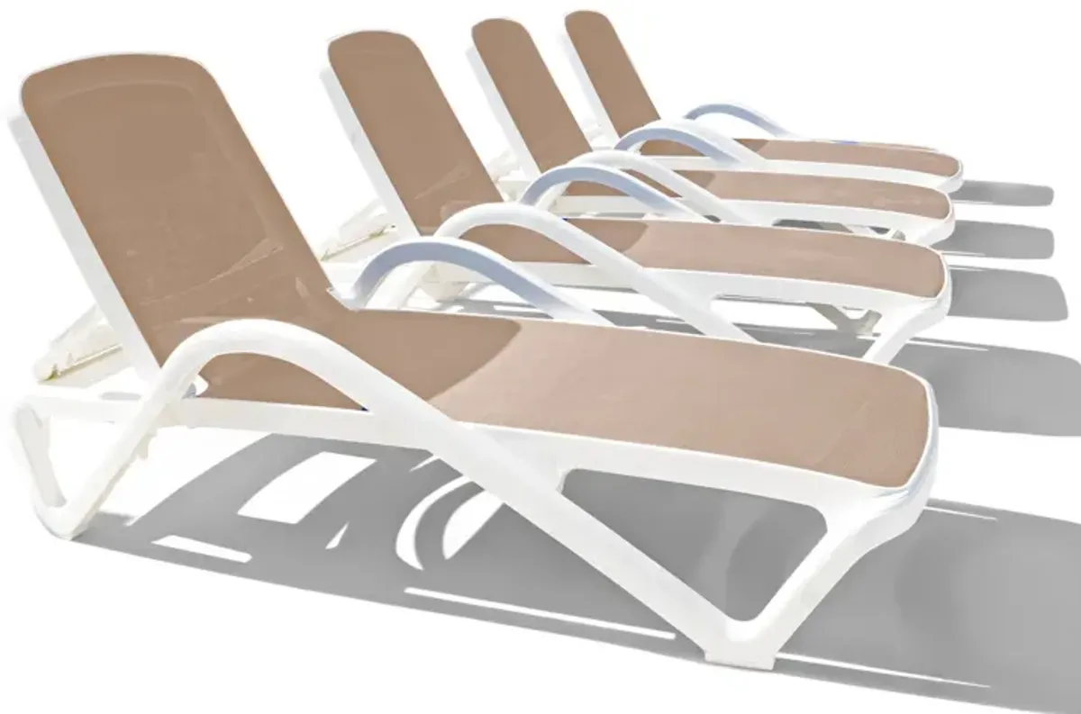 Poolside 4 Chaise Loungers - Grey