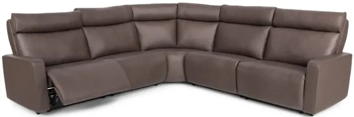 Art Of Options Sectional