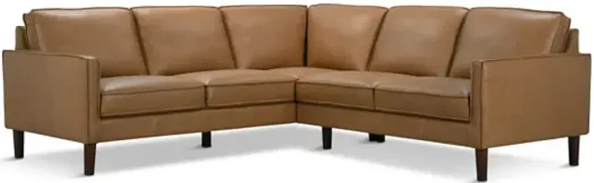 Roarke 2 Piece Leather Sectional