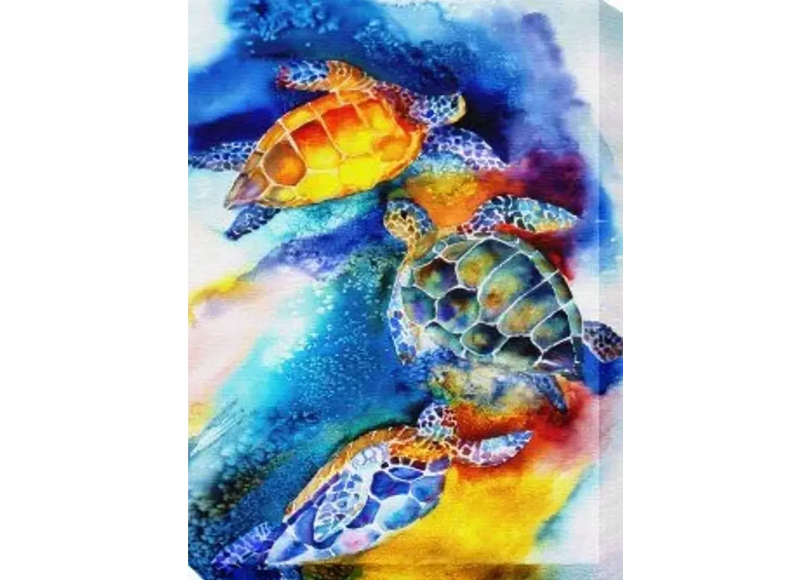 TURTLE PLAY 30X40 OUTDOOR CANVAS