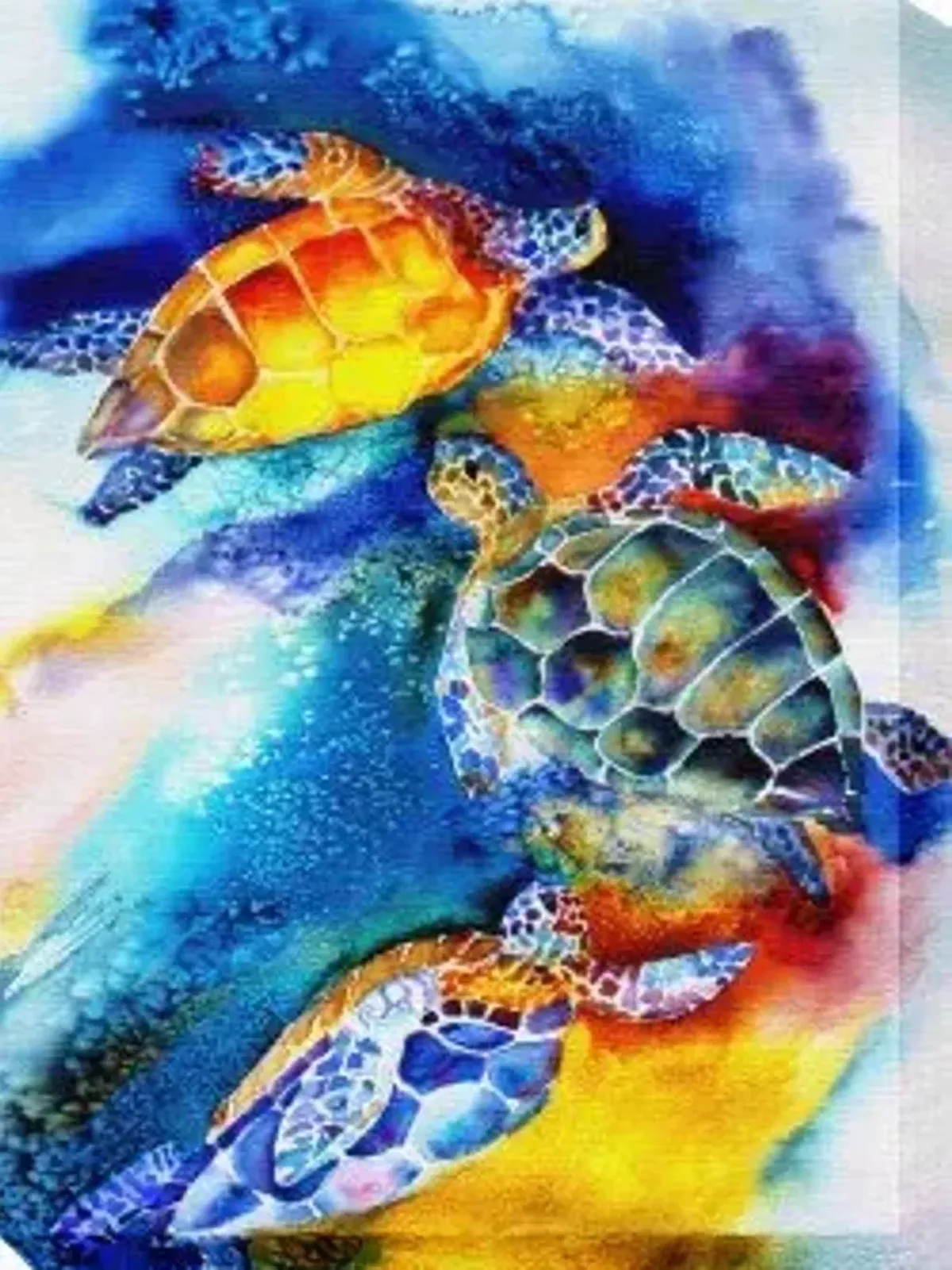 TURTLE PLAY 30X40 OUTDOOR CANVAS