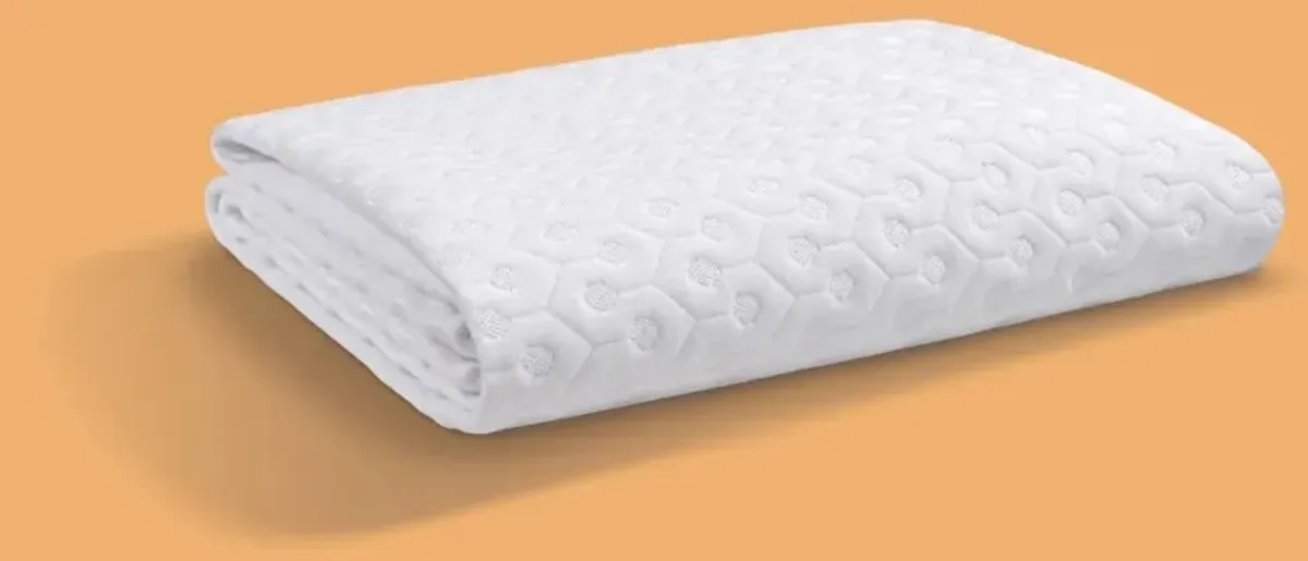 Bedgear Full Dri Tec Mattress Protector