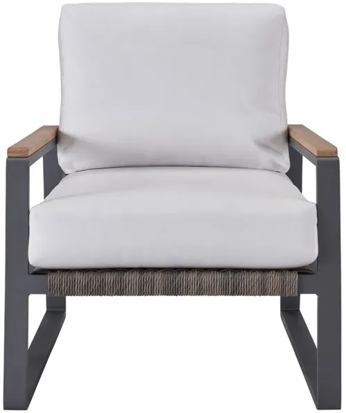 COASTAL LIVING OUTDOOR SAN CLEMENTE LOUNGE CHAIR