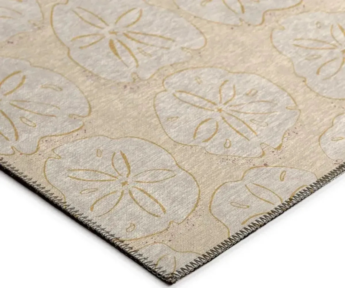 Sandy Impressions Coastal Sand Dollar Pattern 5'X8' Area Rug