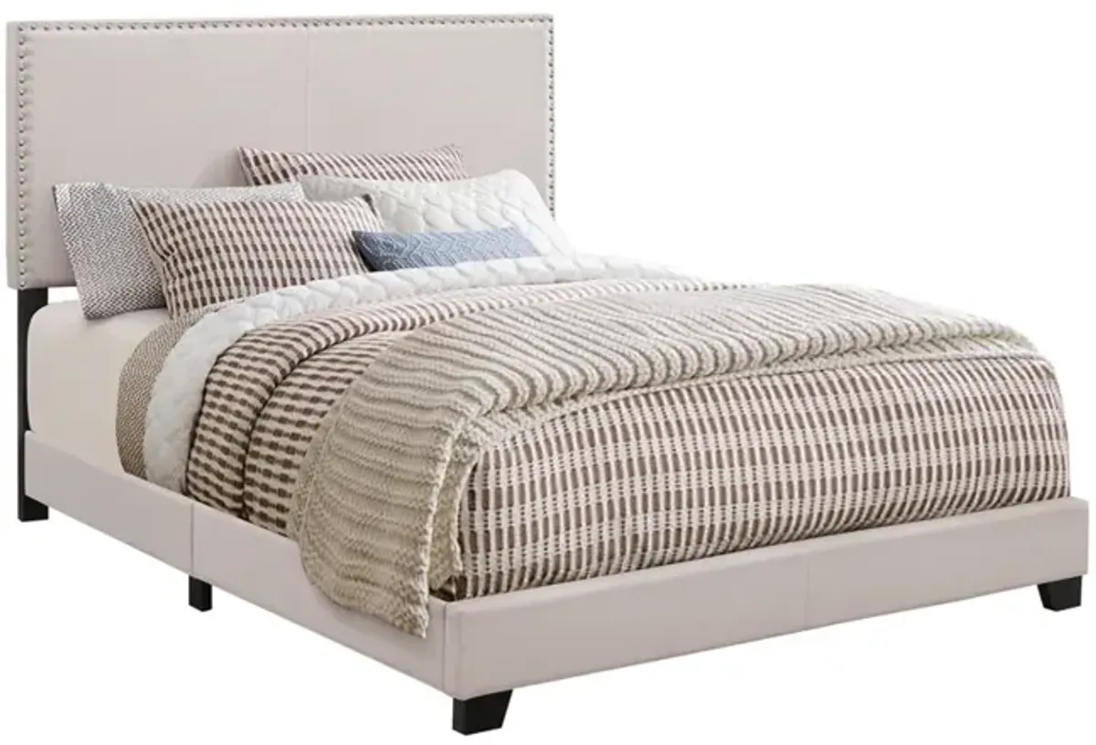 Coaster Boyd Upholstered Twin Panel Bed Ivory