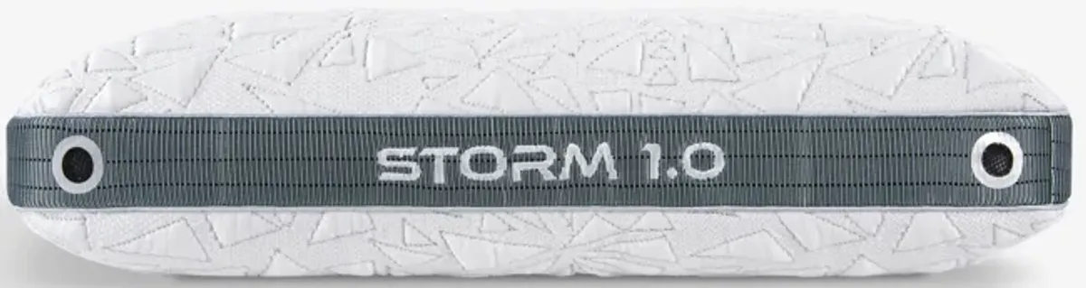 Bedgear Storm Pillow 1.0