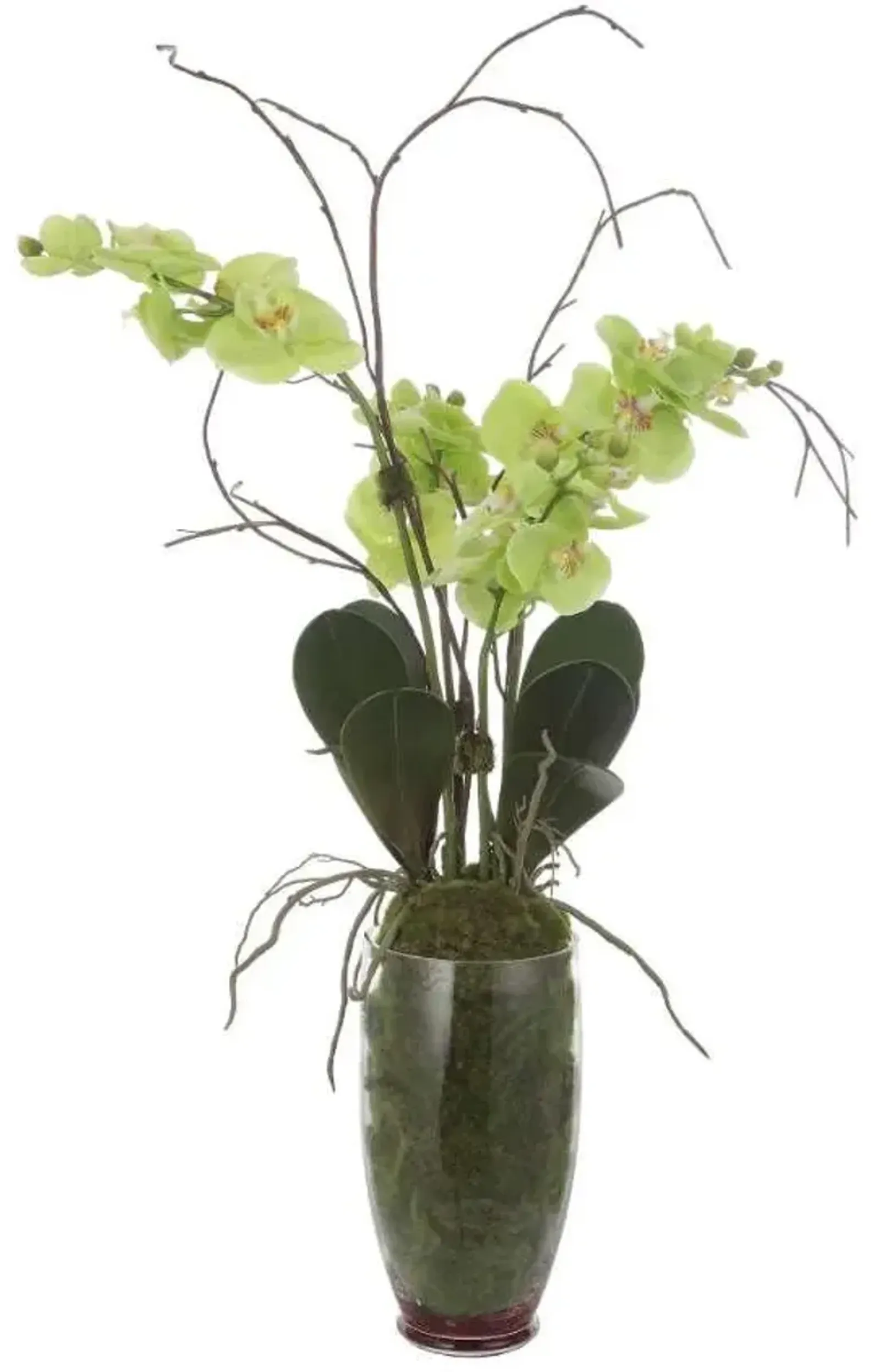Uttermost Valdive Dark Green/Green/Light Green Orchid