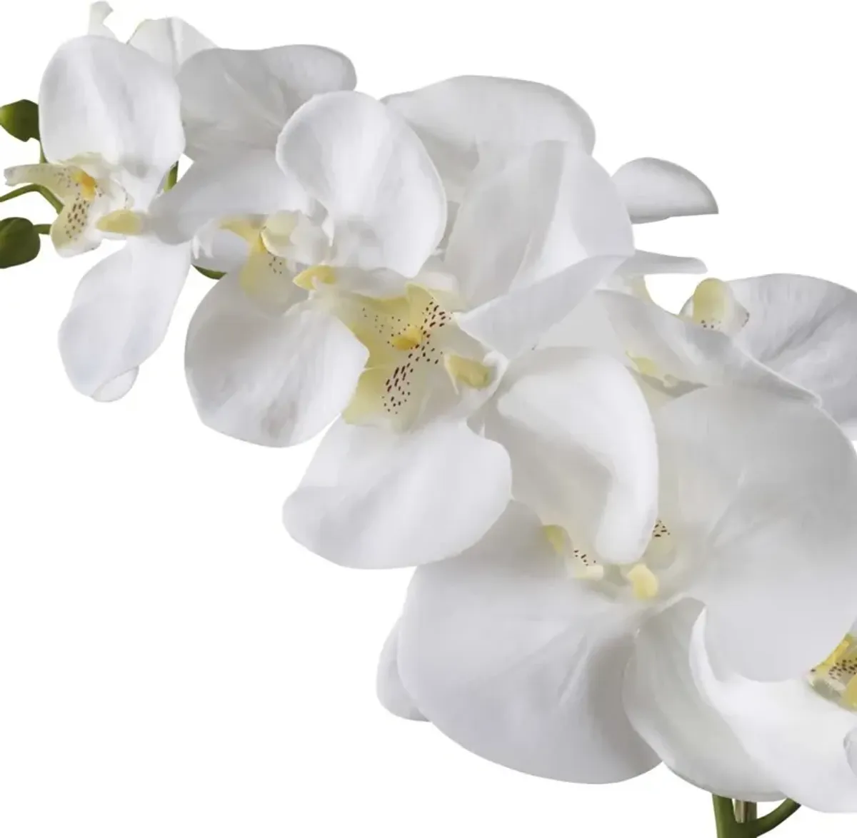 Uttermost Cami White Orchid