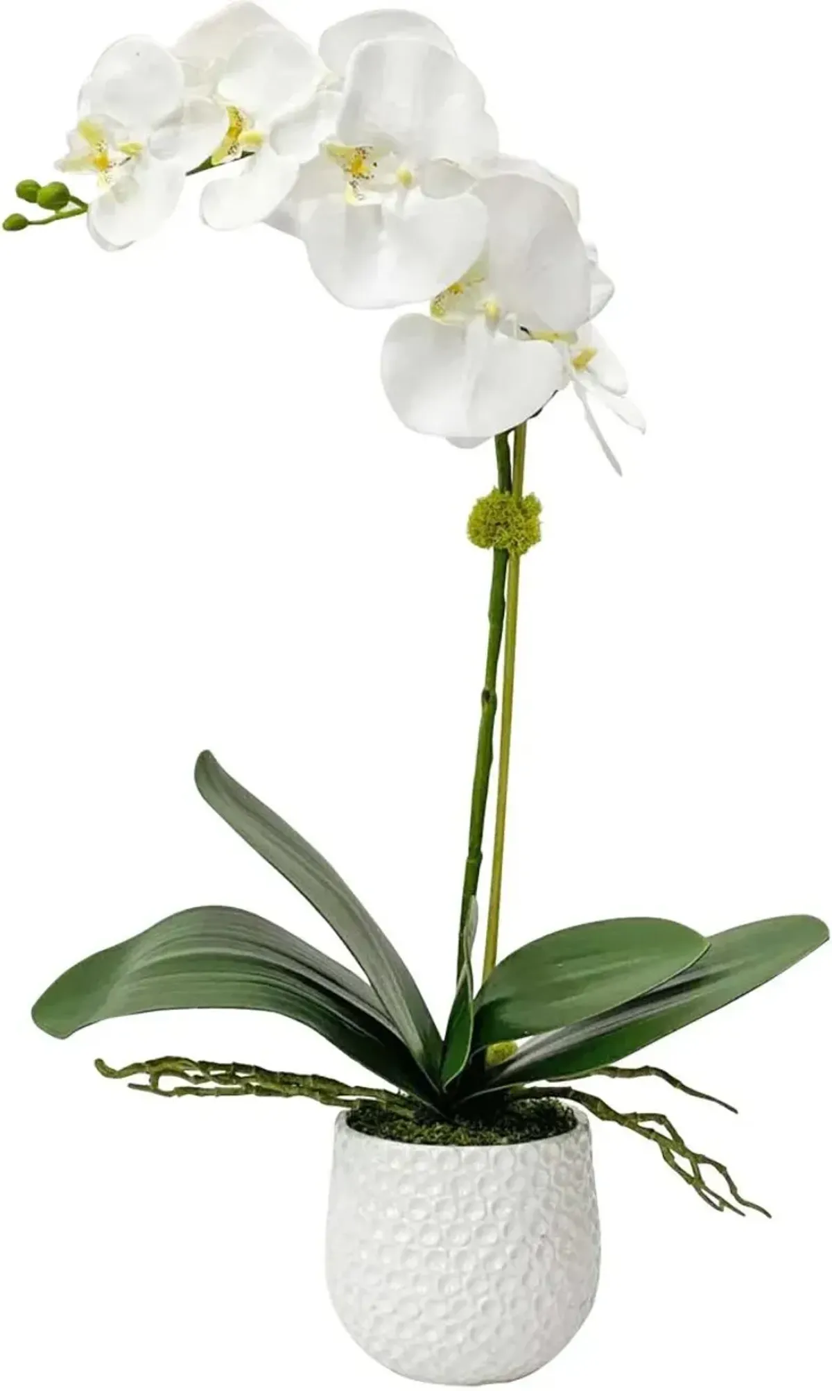 Uttermost Cami White Orchid