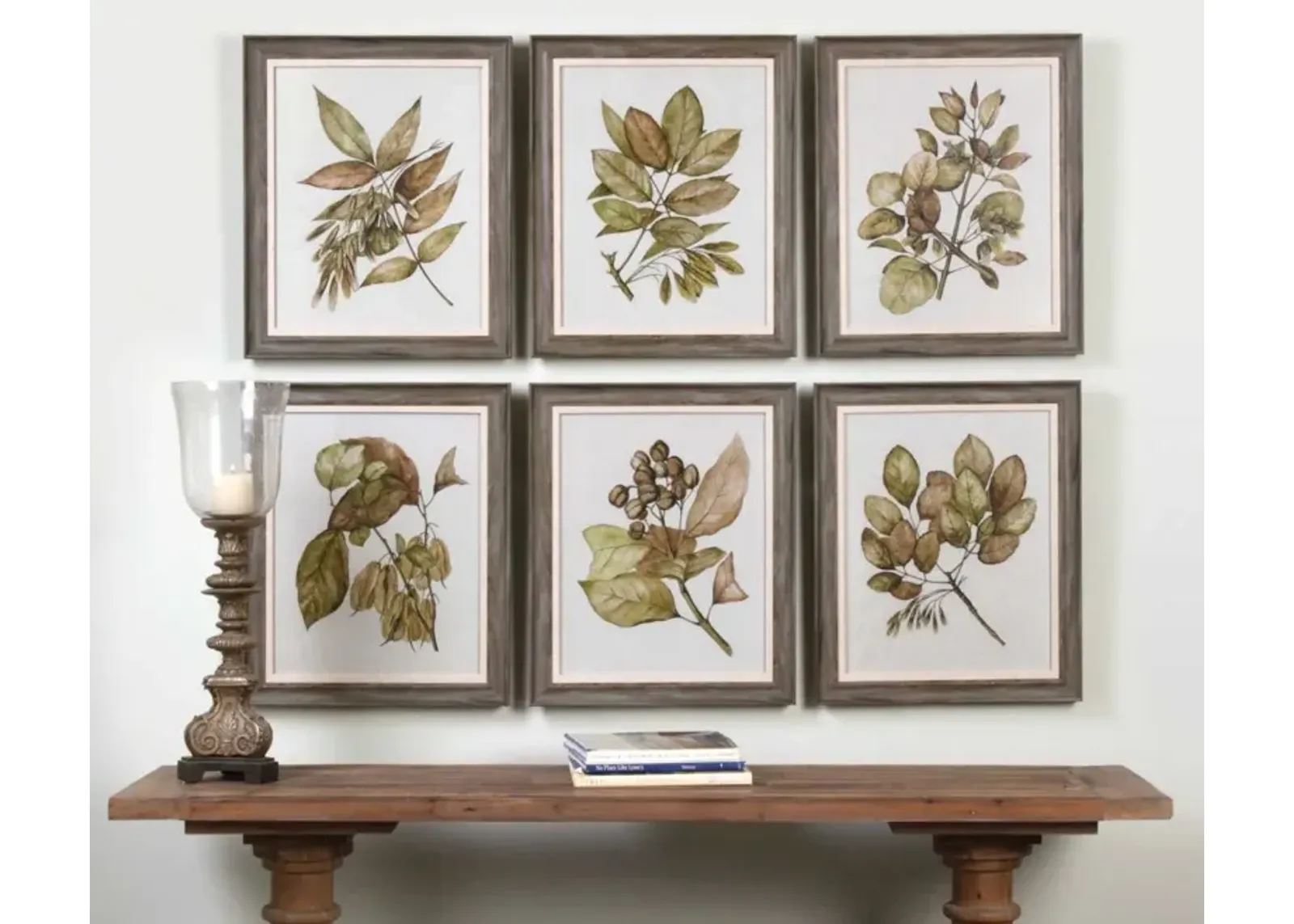 Uttermost Seedlings 6-Piece Brown Framed Prints Wall Art