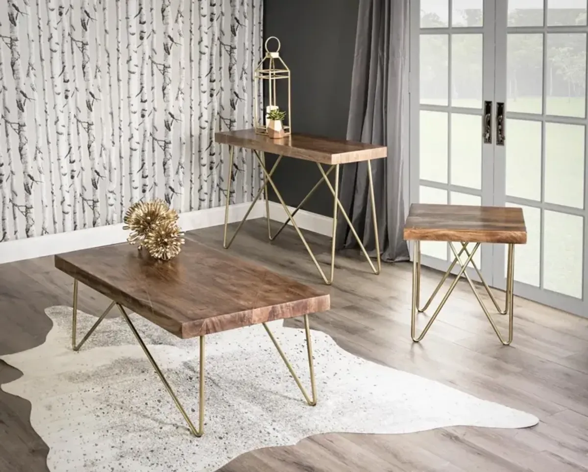 Steve Silver 3-Piece Walter Cocktail Table & 2 End Tables in Gold Brown