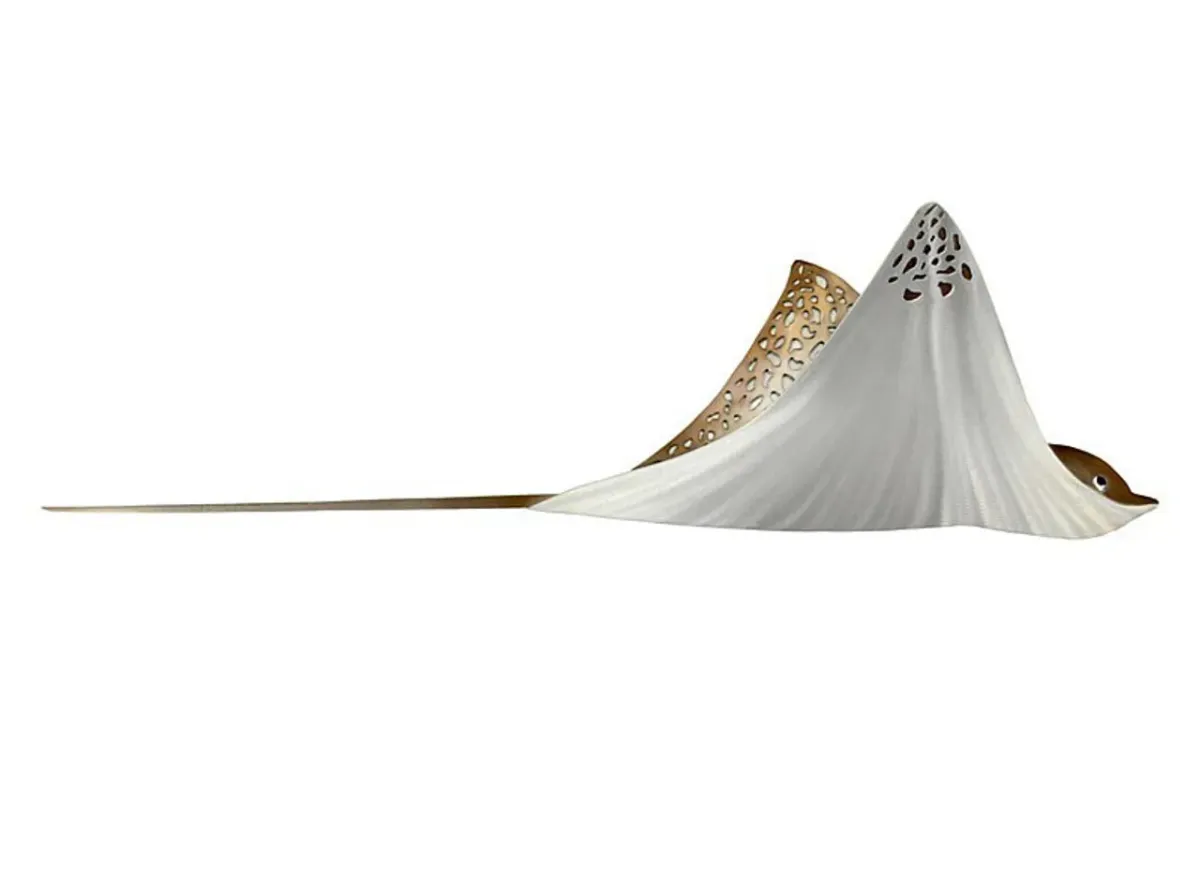 Copper Art Eagle Rays Single Wall Art