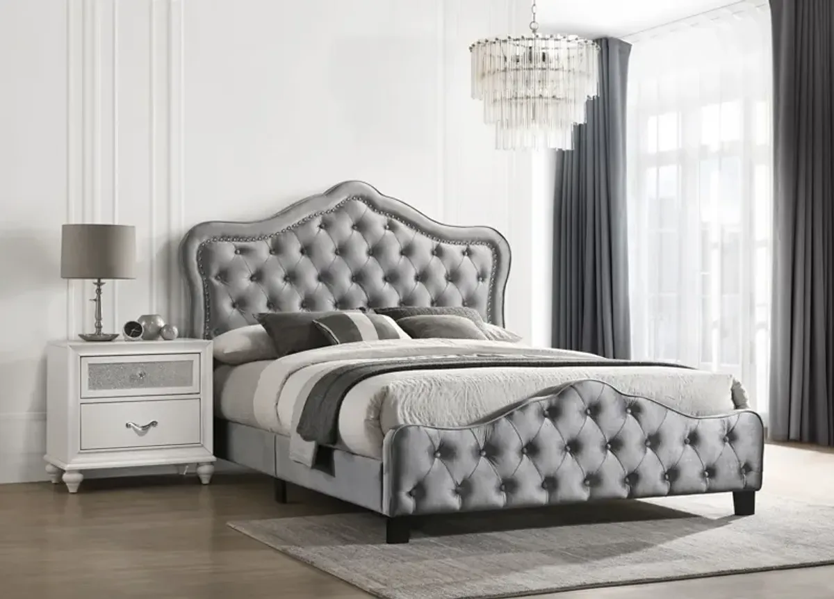 Coaster Bella Upholstered California King Panel Bed Grey