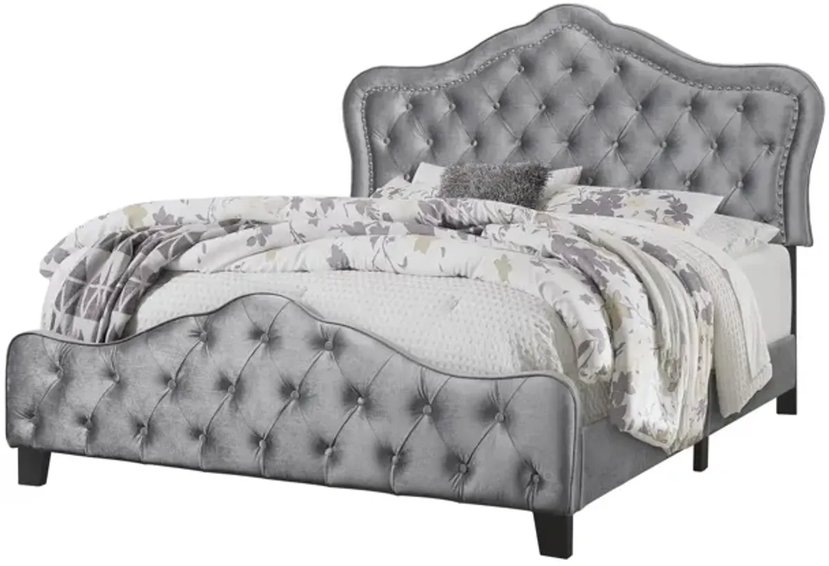 Coaster Bella Upholstered California King Panel Bed Grey