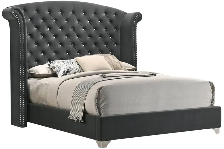 MELODY CALIFORNIA KING BED GREY