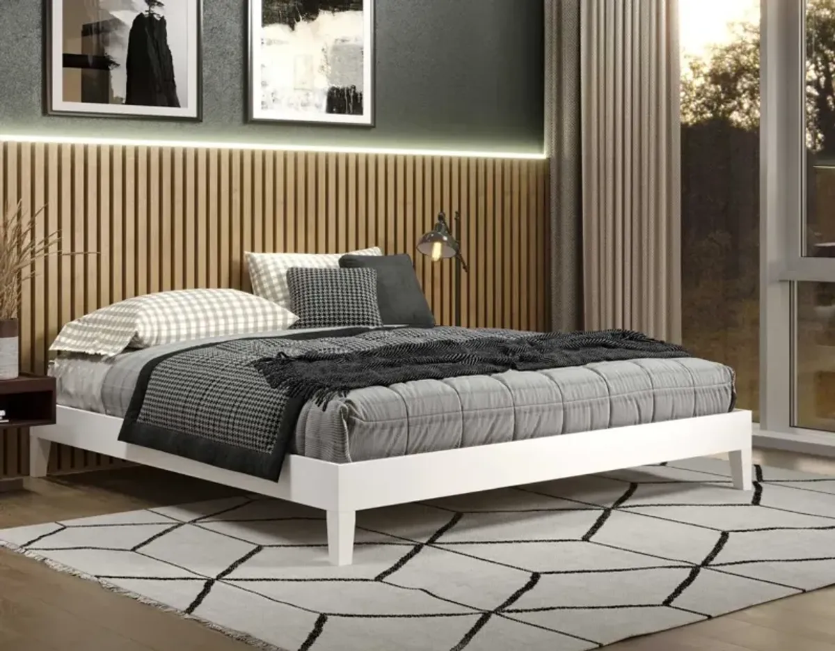 Steve Silver Nix King Platform Bed White