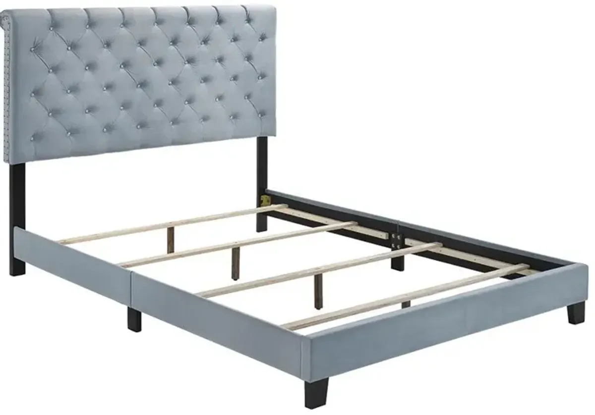 Coaster Warner Upholstered Queen Panel Bed Slate Blue