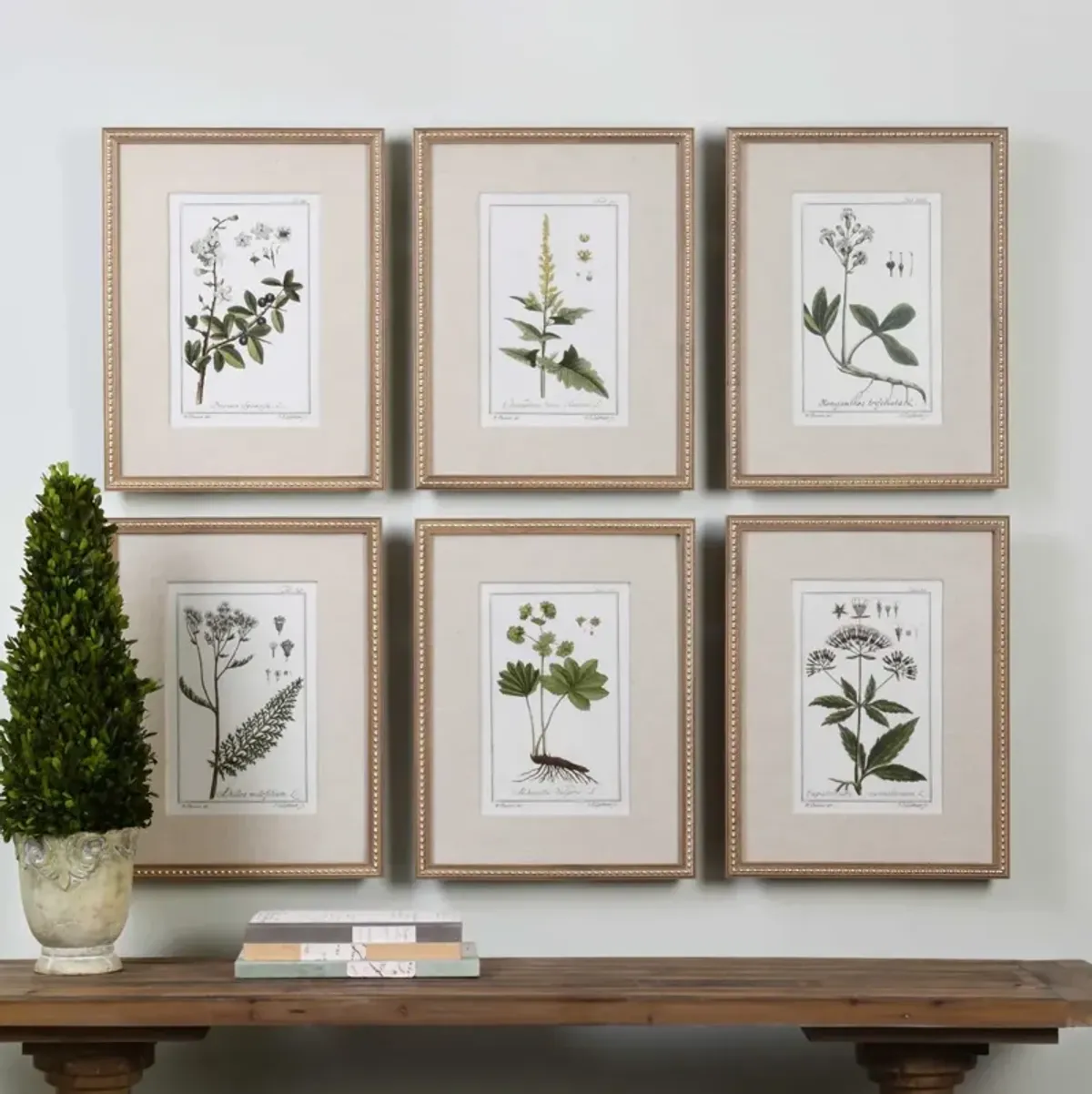 Uttermost Green Floral Botanic Wall Art Set of 6