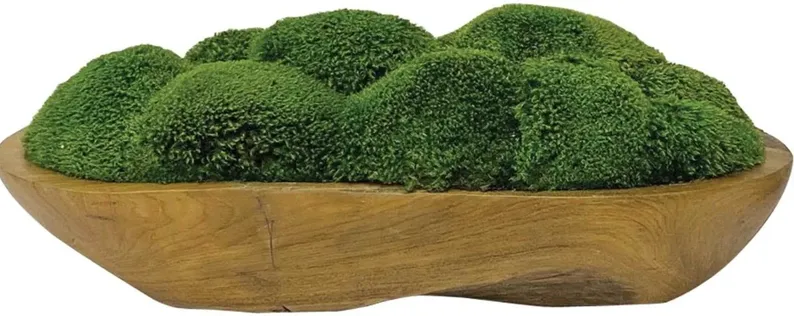 KINSALE NATURAL TEAK MOSS CENTERPIECE