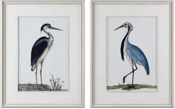 Uttermost Shore Birds Framed Prints S/2