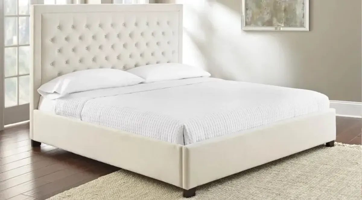 Steve Silver Isadora Queen Bed in White/Cream