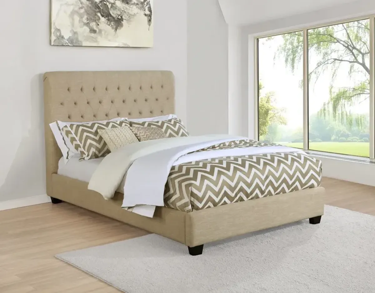 Coaster Chloe Upholstered Queen Panel Bed Oatmeal