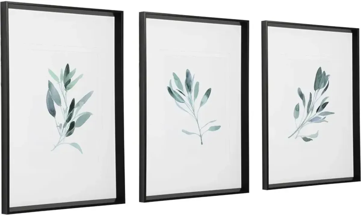 Uttermost Simple Sage 3-Piece Green Watercolor Prints Wall Art