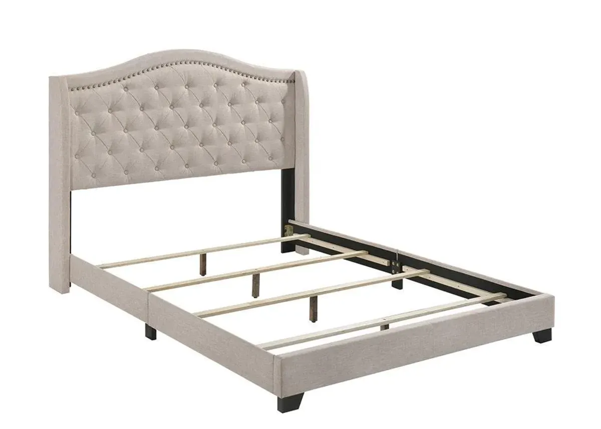 Coaster Sonoma Upholstered Queen Wingback Bed Beige