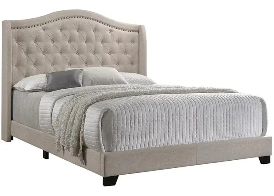 Sonoma Upholstered Queen Wingback Bed Beige