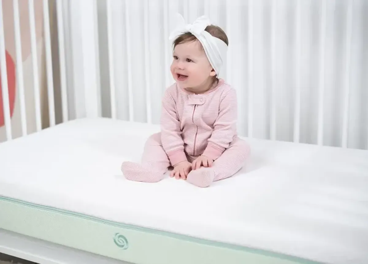 Bedgear Dri-Tec Performance Crib & Toddler Mattress