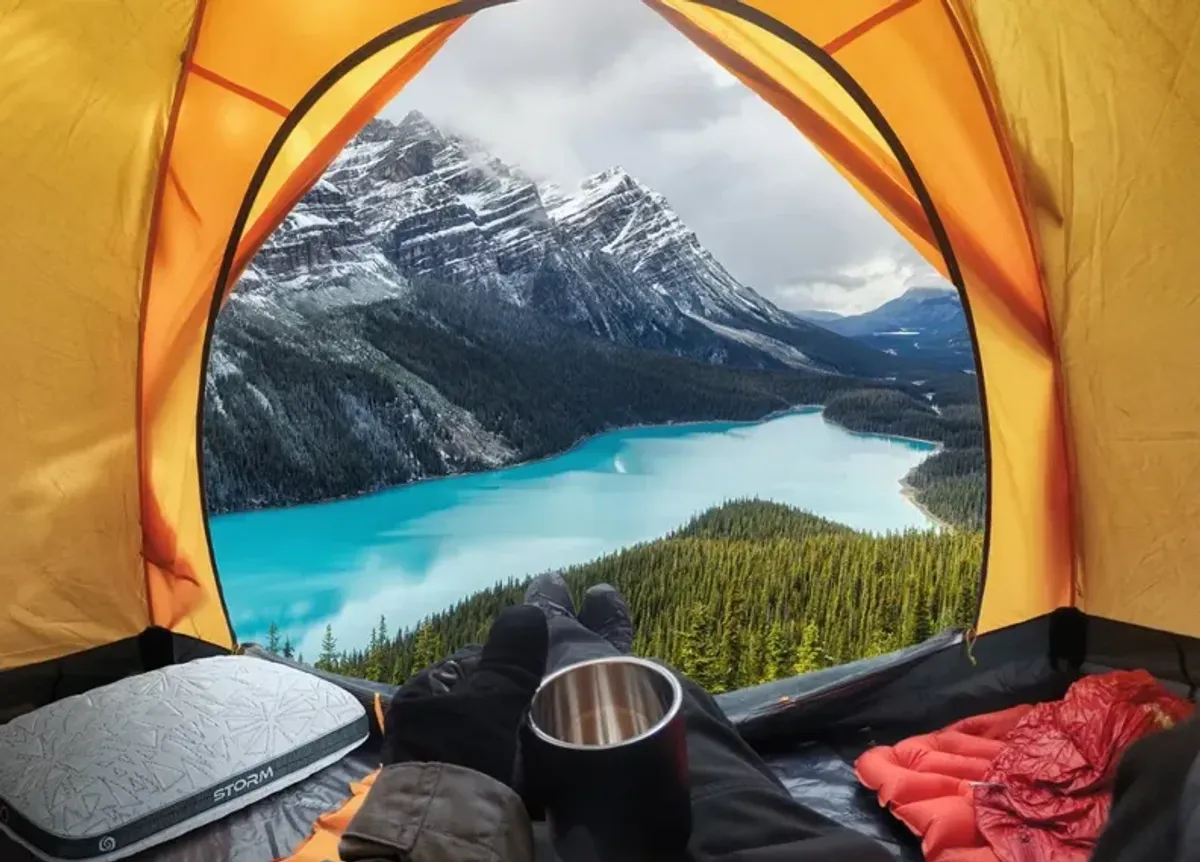 Bedgear Storm Performance Travel Pillow