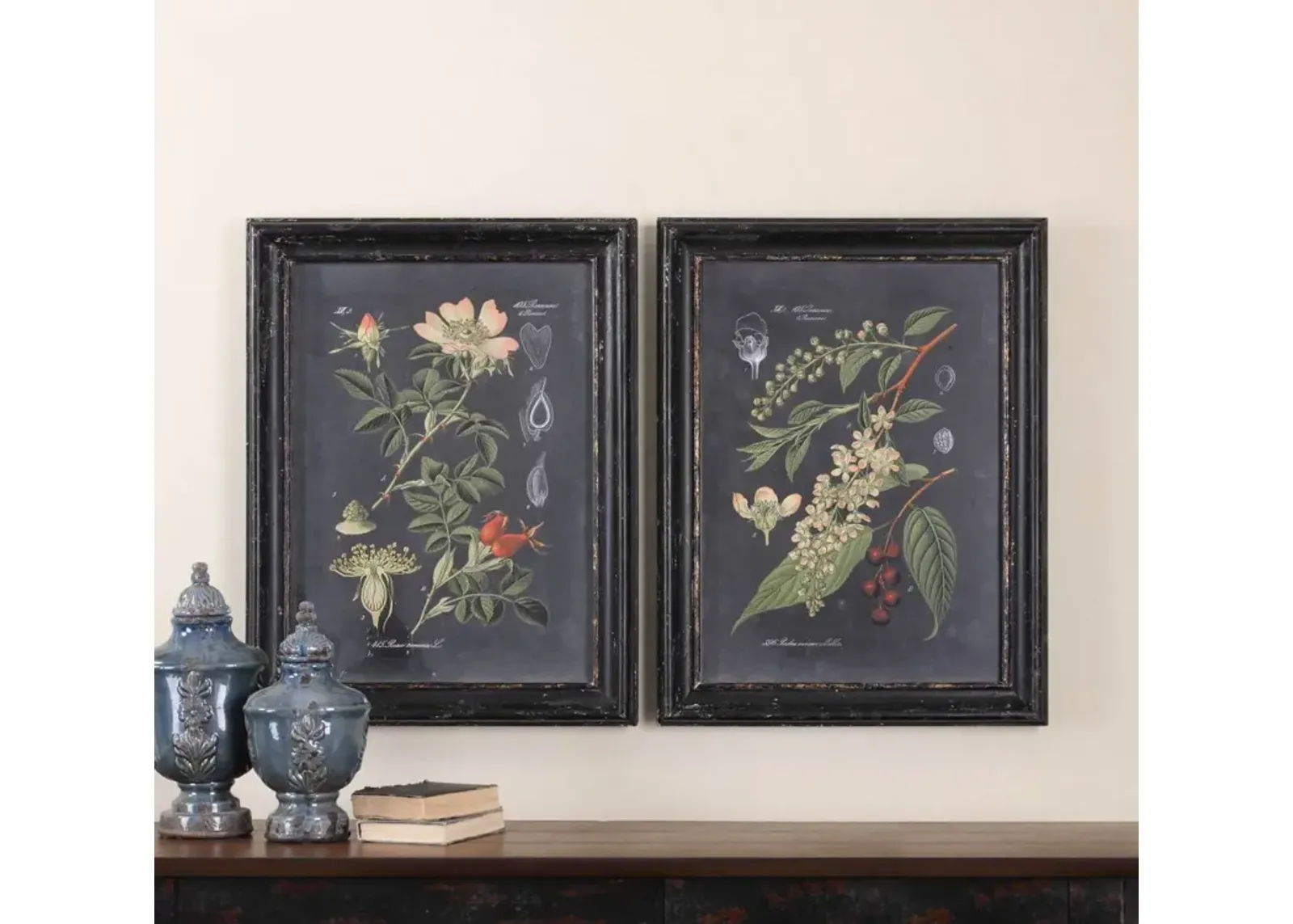 Uttermost Midnight Botanicals 2-Piece Aged Black Wall Art