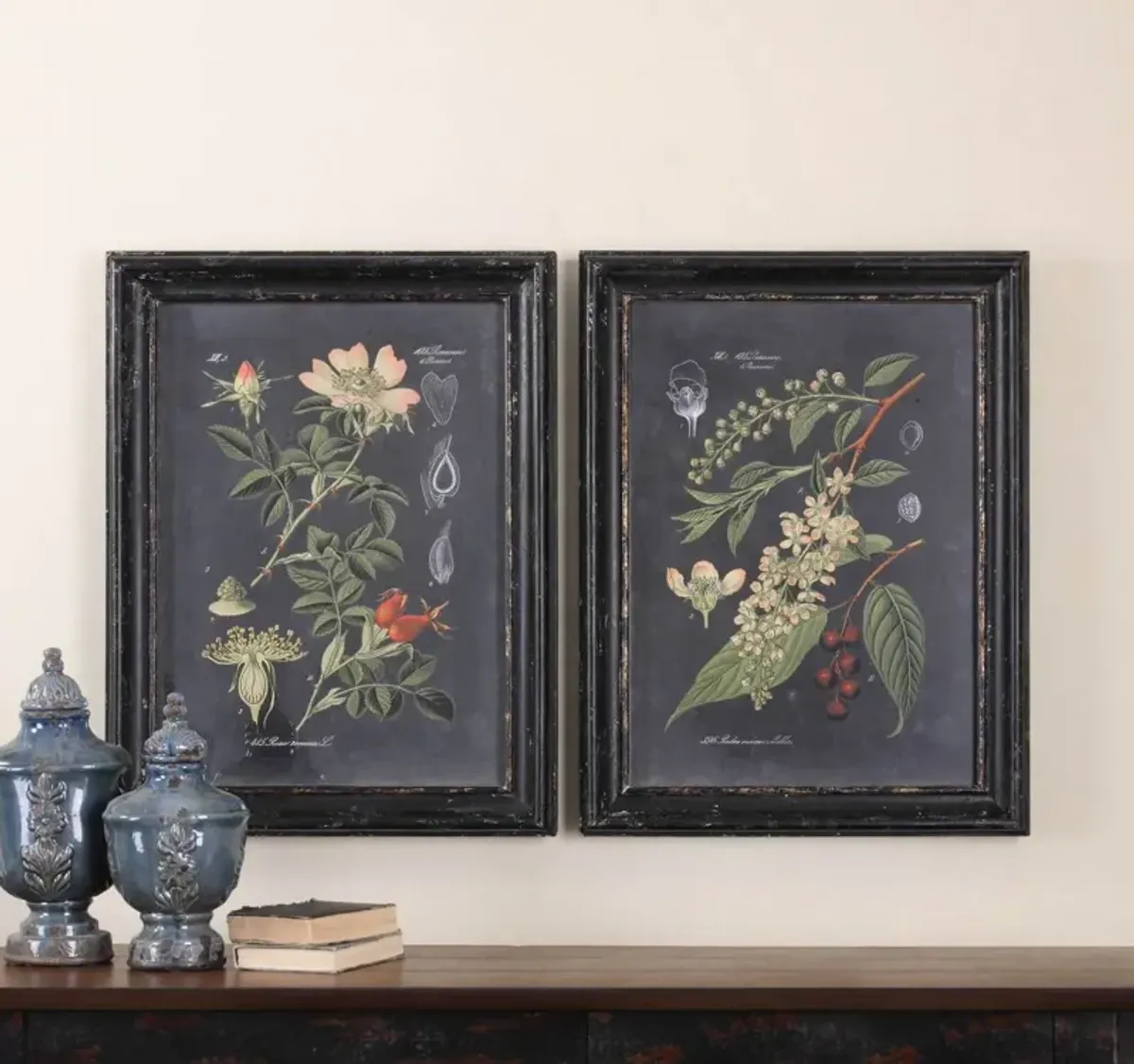 Uttermost Midnight Botanicals 2-Piece Aged Black Wall Art