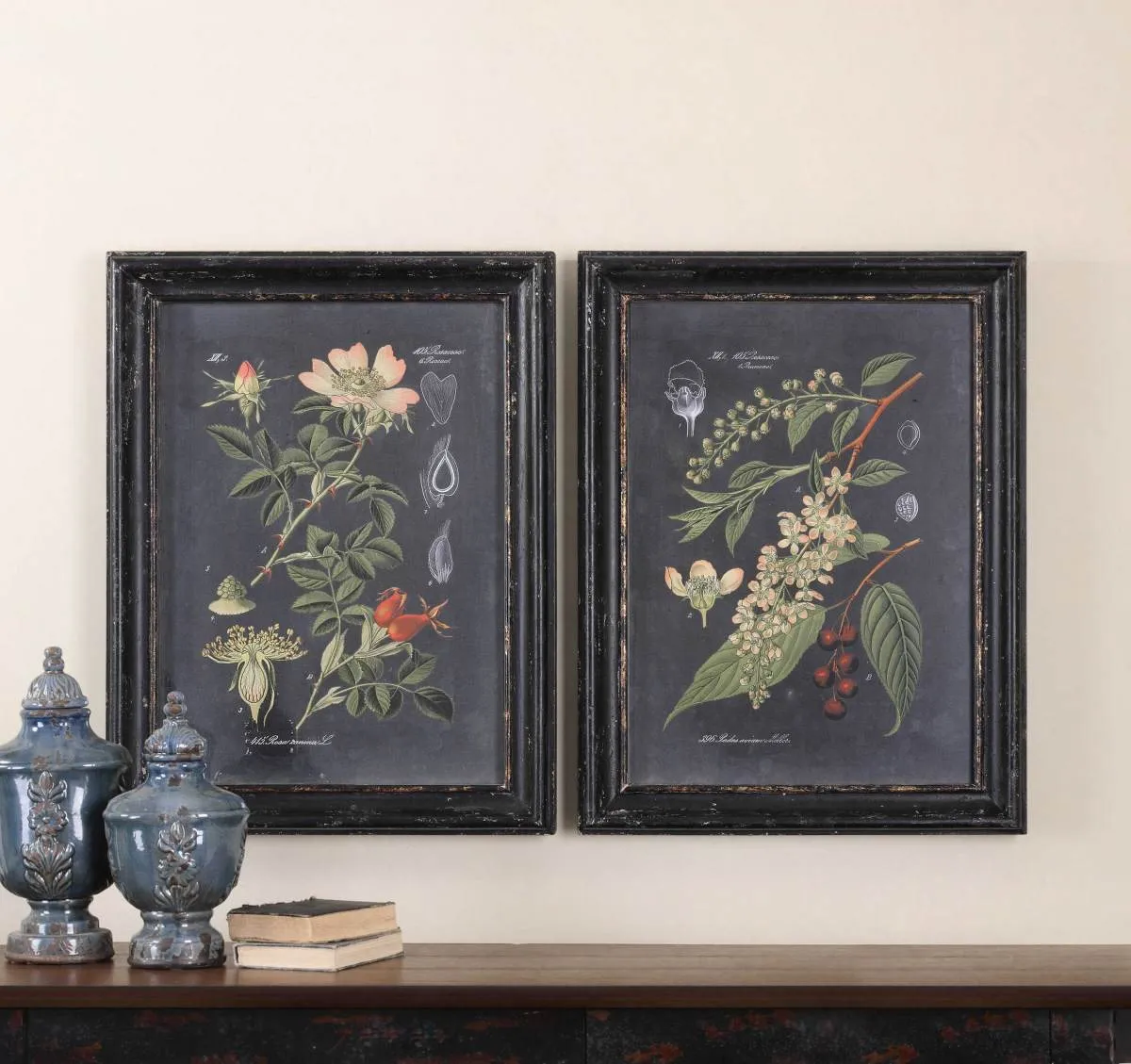 MIDNIGHT BOTANICALS 2-PIECE AGED BLACK WALL ART