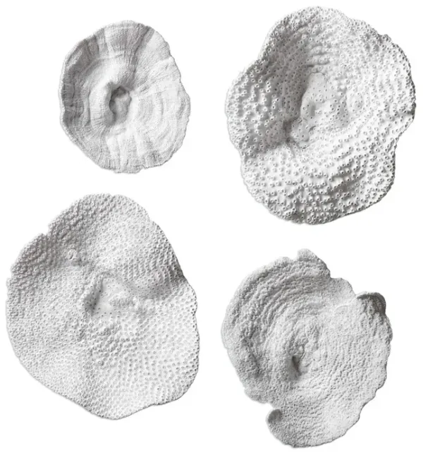 Uttermost Sea Coral Wall Art Set of 4