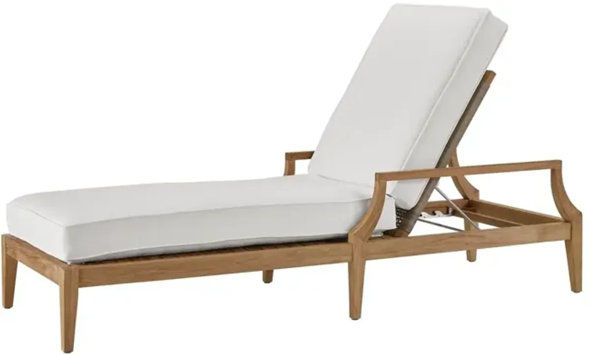 COASTAL LIVING OUTDOOR CHESAPEAKE CHAISE LOUNGE