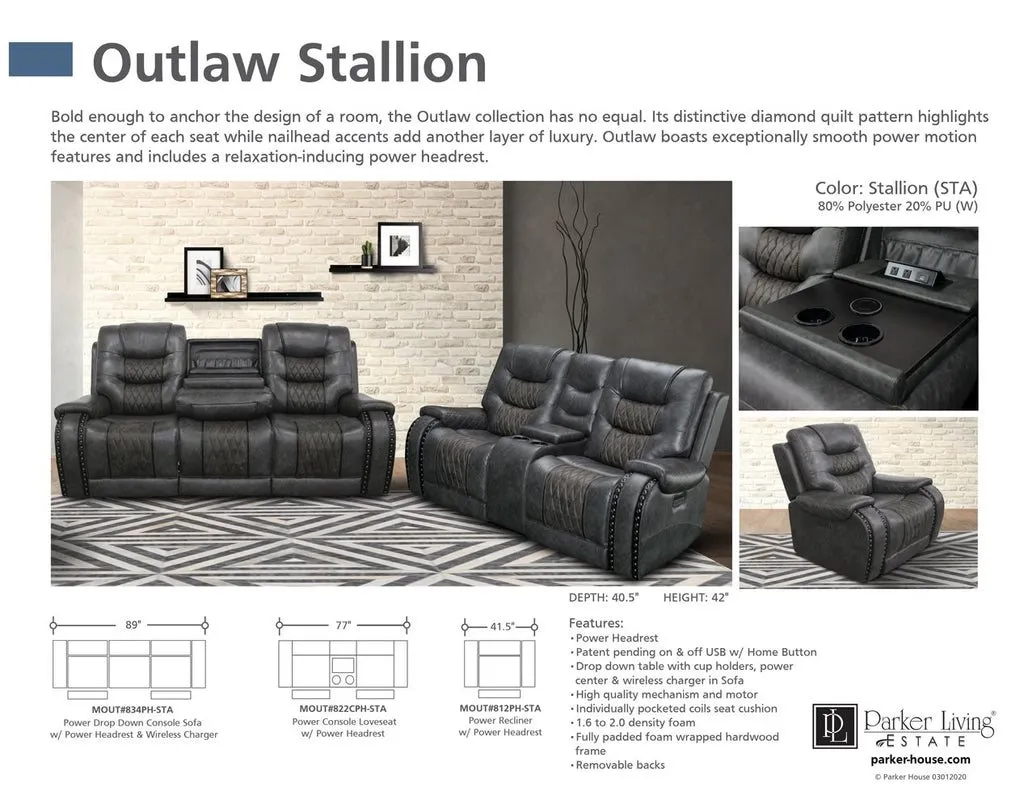 OUTLAW - STALLION