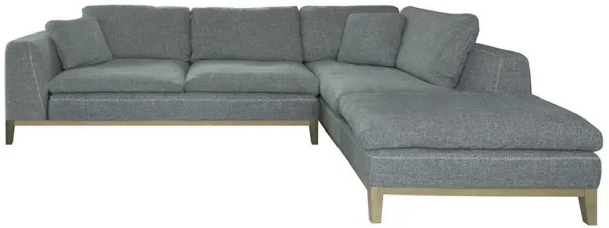 Coaster Persia Upholstered Track Arm Sectional Sofa Grey