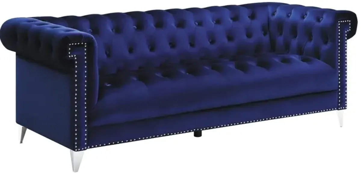 Coaster Bleker Upholstered Tuxedo Arm Tufted Sofa Blue